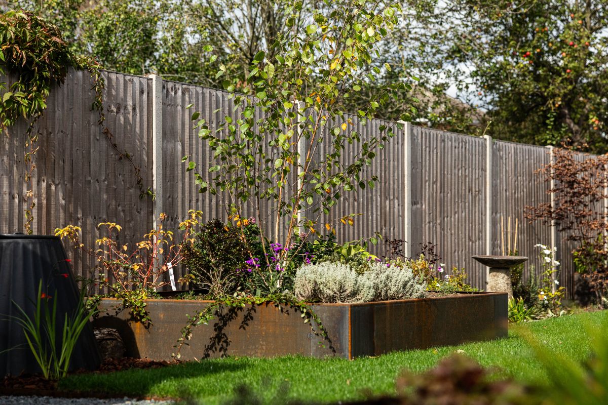 contemporary garden design